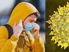 Qué pasa con el hantavirus: un estudio genético cambió todas las hipótesis y dio una respuesta clave sobre la enfermedad que preocupa a todos