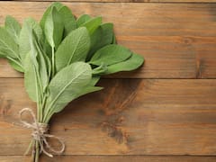 Alzheimer: la hierba medicinal que estimula el sueño, ayuda a prevenir el deterioro neuronal y alivia dolores del cuerpo