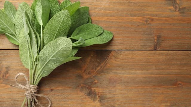 Alzheimer: la hierba medicinal que estimula el sueño, ayuda a prevenir el deterioro neuronal y alivia dolores del cuerpo