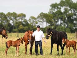 Clonaron una yegua de polo en Areco, la llamaron Silvina Luna y ahora están en la mira de EE.UU.