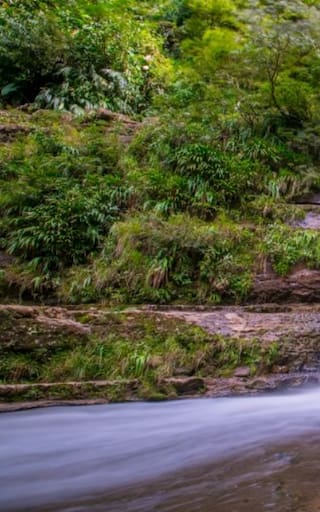 Ni Cartagena ni Medellín: el destino de Colombia que combina montañas, ríos y naturaleza