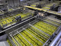 San Miguel canjeó deuda y despejó vencimientos por más de un año con incentivos al mercado