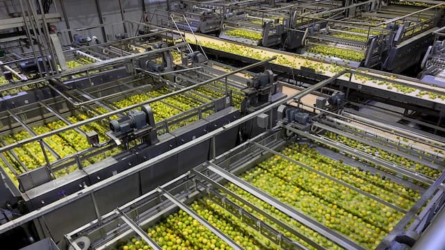 San Miguel canjeó deuda y despejó vencimientos por más de un año con incentivos al mercado