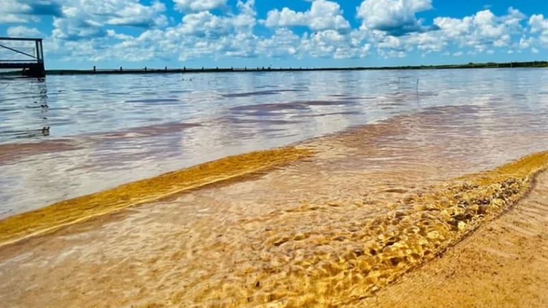 Playa de San Miguel, en Corrientes.