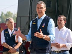 Sánchez confirmó el fin de la emergencia nacional por los incendios en Madrid y Ávila, pero pide precaución
