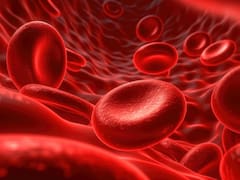 Descubren un nuevo tipo de sangre “mutante” que por ahora solo tienen muy pocas personas: es híbrida y puede cambiar la ciencia médica