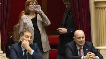 Biocombustibles: Rosada negocia a contrarreloj por el biodiésel y peligra la sesión que quiere Milei