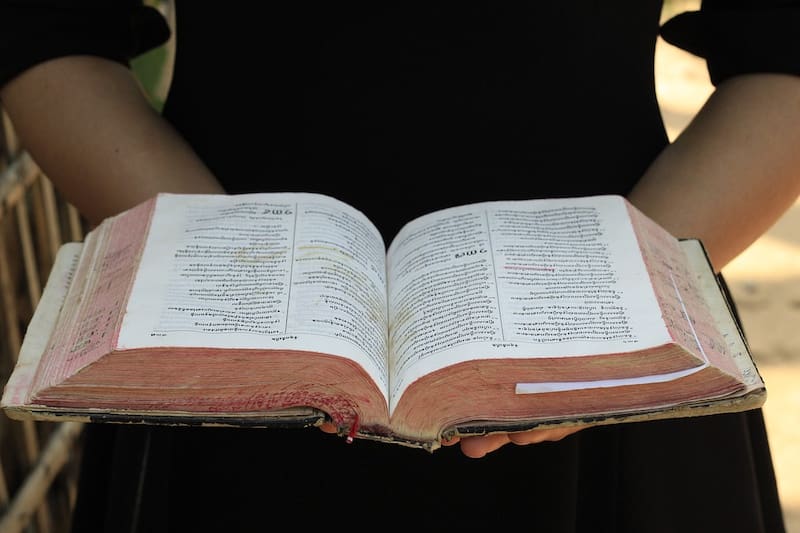 Santoral del día | San Antonio Abad (foto: Pixabay).