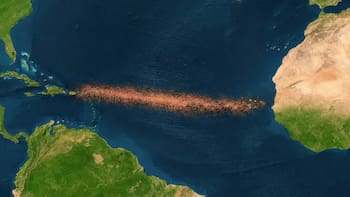 El descubrimiento del siglo | Hallan una extraña y enorme franja marrón en el Atlántico que preocupa a toda la comunidad científica: qué significa