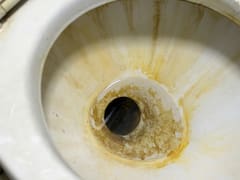 Cómo borrar para siempre el sarro del inodoro con un sólo ingrediente: elimina las manchas amarillas y queda como nuevo