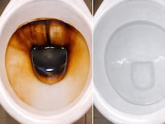 Es tendencia | Cómo eliminar el sarro del inodoro con un sólo ingrediente: borra todas las manchas amarillas y queda como nuevo
