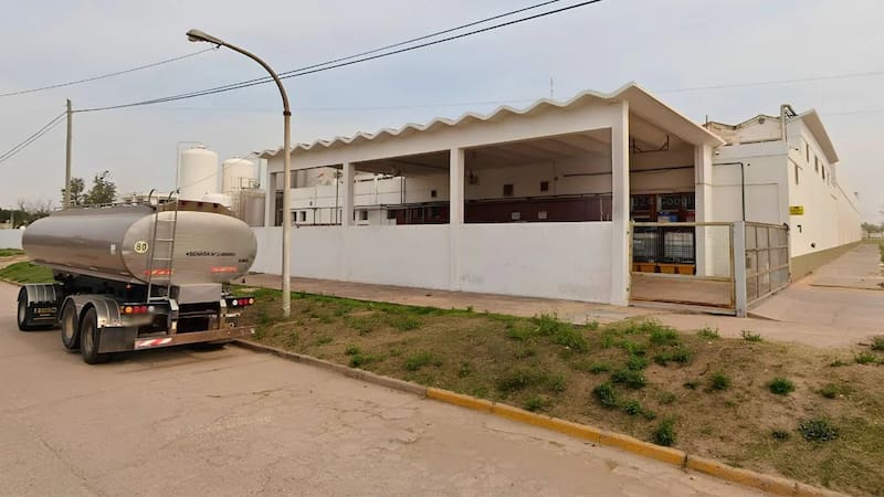Savencia en El Trébol.