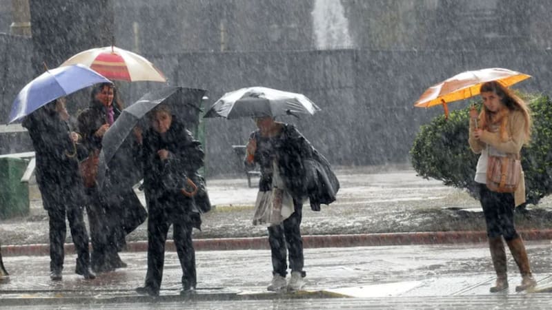 Se acerca un fuerte diluvio con ráfagas de viento y tormenta eléctrica en gran parte del país: cuáles son las zonas en alerta máxima
Fuente: Archivo
