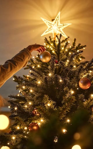¿Por qué el árbol de Navidad se arma el 8 de diciembre?