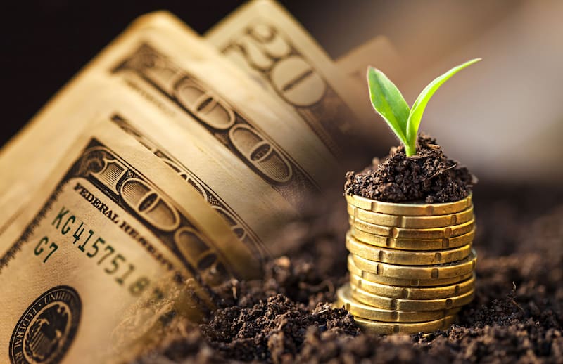 Se espera un salto estacional en la liquidación por las ventas de soja