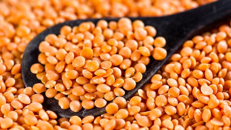 Se recomienda renovar las lentejas cada dos o tres meses.