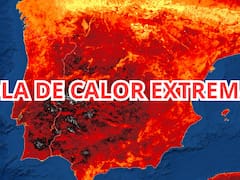 Se viene la peor ola de calor del año, que llegará a 44°C, y se activó la alerta roja: qué zonas estarán afectadas