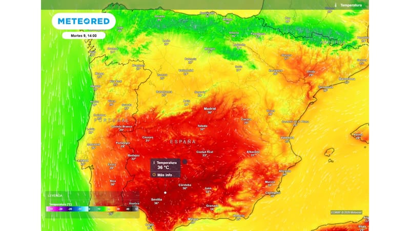 Se viene un tormentón de más de 48 horas en medio de una ola de calor que traerá temperaturas de más de 36°C: a qué zonas afectará