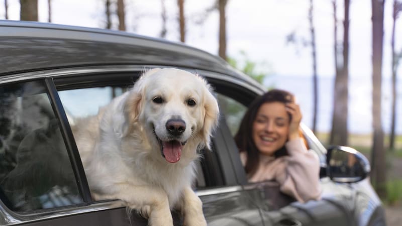 Seis de cada 10 argentinos ya eligen alojamientos “pet friendly” y un 17% vuela con ellas