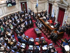Senado: el oficialismo consiguió quórum y ya debate la baja de la edad de imputabilidad y la reforma laboral
