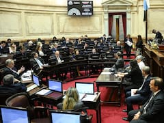 El Senado debate la reforma del BCRA y Zonas Frías: qué cedió LLA y por qué hay votos en duda