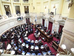 Primera sesión en el Senado: analizan los pliegos de Crexell, Mahiques y ascensos militares