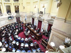 El Senado avanza sobre la baja de la edad de imputabilidad antes del debate por la reforma laboral: tensión fuera del Congreso