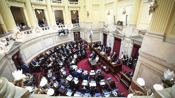 El Senado debate la baja de la edad de imputabilidad y luego tratará la reforma laboral