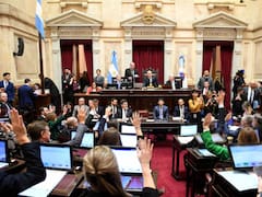 Sin Manejo del Fuego, el Senado aprobó la Ley de Propiedad Privada: crecen los pases de factura en el oficialismo