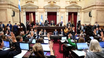 Sin Manejo del Fuego, el Senado aprobó la Ley de Propiedad Privada: crecen los pases de factura en el oficialismo