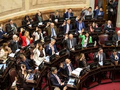 Senado: el oficialismo busca aprobar el nuevo régimen de incentivos para Pymes y Salud Mental