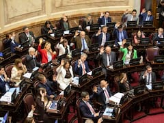 El Senado hizo ley el nuevo régimen de Zonas Frías y avanzó con modificaciones al BCRA