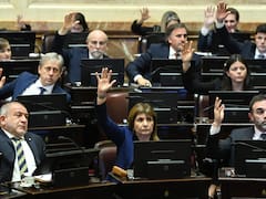 Senado: por qué quedó afuera del temario el tratado de Patentes que quiere Estados Unidos