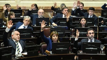 Mercado de carbono: el proyecto se demora en el Senado por diferencias clave con Misiones