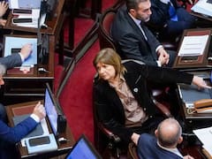 Propiedad privada: punto por punto, lo que quedó tras la baja del capítulo de extranjerización de la tierra