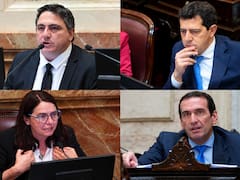 Los senadores más ricos: quién lidera el ranking y cuánto creció su patrimonio en un año