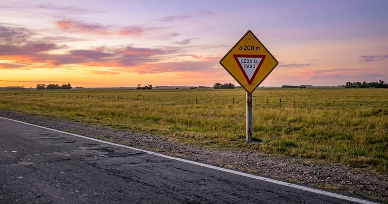 Qué significa la señal de tránsito de cartel amarillo con un triángulo rojo y blanco: por qué es importante reconocerla, según las normas viales de Argentina.