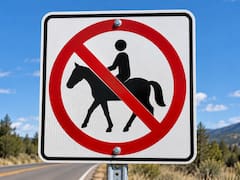 Qué significa la señal de tránsito con un caballo tachado y símbolo de prohibido