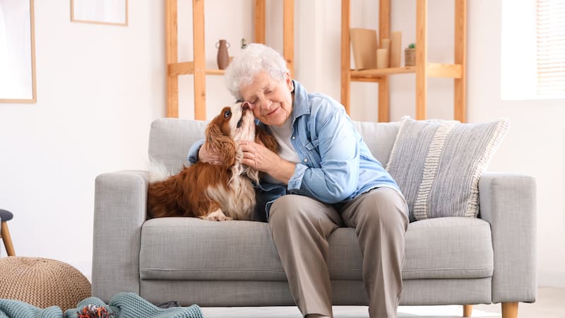 Dan Buettner, experto en longevidad, sobre los pequeños cambios para vivir más años: “Adopta un perro”