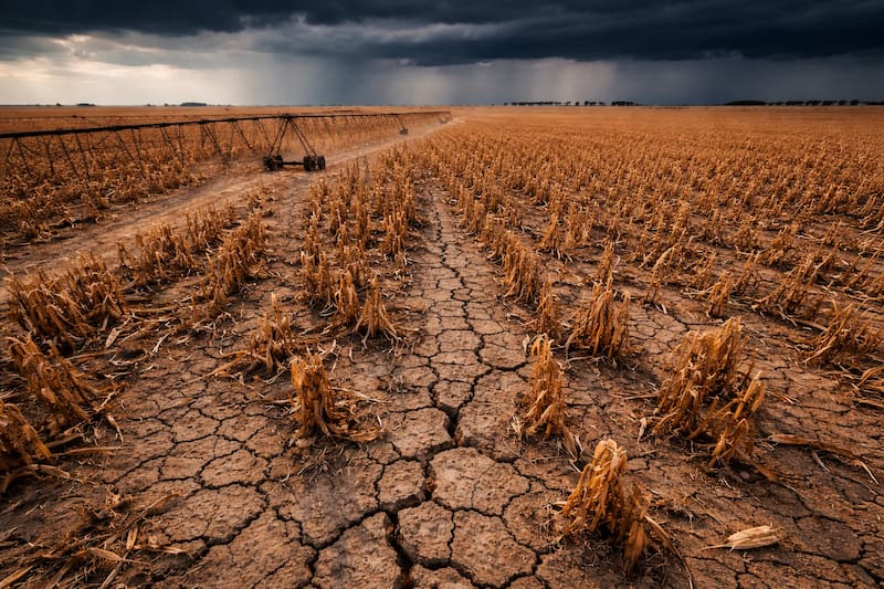 A nivel global, se advierte sobre posibles alteraciones climáticas, como el aumento de tempestades en algunas regiones y sequías en otras.