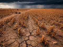 Cambia el clima y hay alarma en todo el país: la tormenta negra que podría traer sequías y falta de agua en las próximas semanas