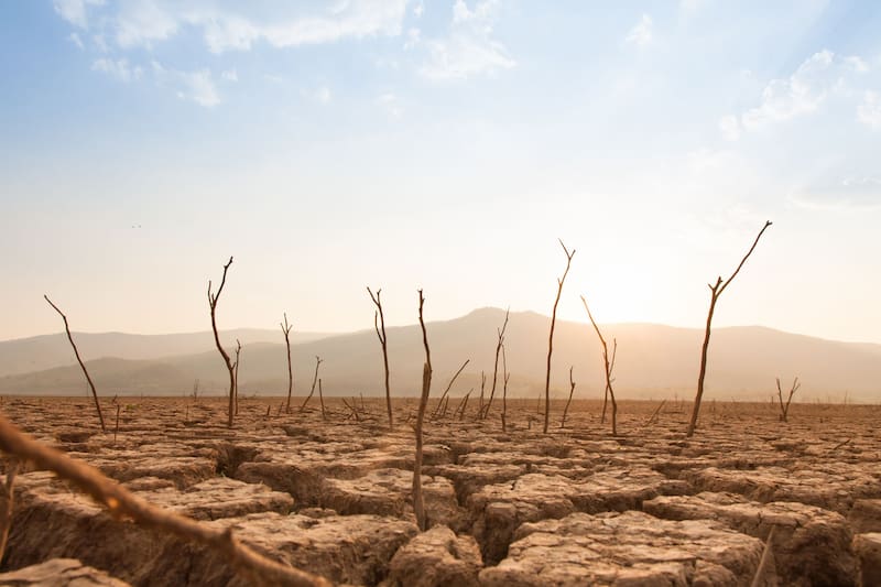 La próxima sequía no será de agua, según Musk.