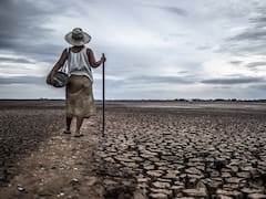 Descubrimiento científico sin precedentes: tiene el potencial de salvar al mundo de las sequías y fue inventado por un investigador latino