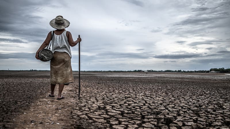 El hallazgo podría ser la solución que necesitan varios países para porciones de territorio con sequías (fuente: freepik)
