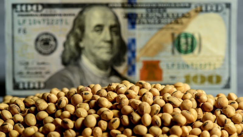 Si el Gobierno implementa el esquema anunciado en la Bolsa de Cereales, las retenciones a la soja llegarían "a cero" en 2030