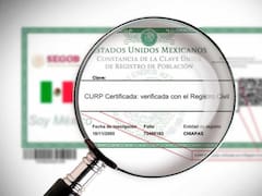 Adiós a las líneas anónimas: la CURP será obligatoria para conservar tu celular y muchos podrían perder su número de teléfono