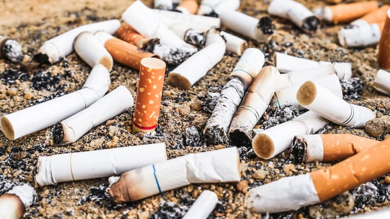 Si tienen colillas de cigarrillo en casa, guardan un tesoro: por qué y para qué sirven. Foto: Shutterstock