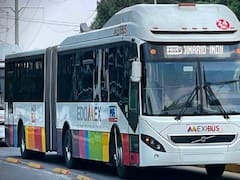 Mexibús ampliará el tramo Vicente Villada-Panteón de Los Rosales: así funcionará el servicio en Nezahualcóyotl