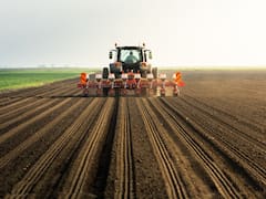 Bienvenidos al trimestre de la dulzura: salen dólares (y pesos) hasta por orejas