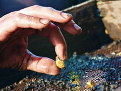 Hallazgo sin precedentes | Hallan un taller repleto de oro y toda la fortuna pertenece a esta nación